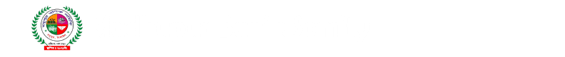 SDDS Logo